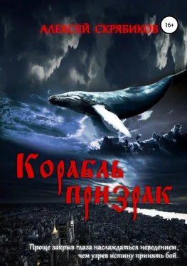 Алексей Скрябиков Корабль призрак обложка книги