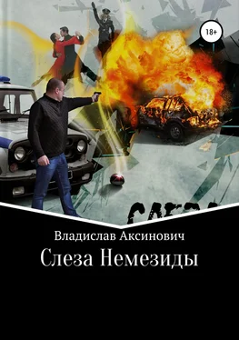 Владислав Аксинович Слеза Немезиды обложка книги