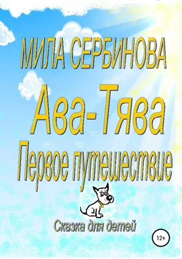 Мила Сербинова Ава-Тява. Первое путешествие обложка книги