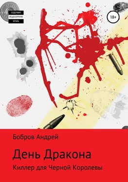 Андрей Бобров День Дракона обложка книги