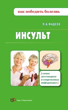 Павел Фадеев Инсульт обложка книги