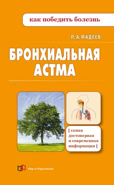 Павел Фадеев Бронхиальная астма обложка книги