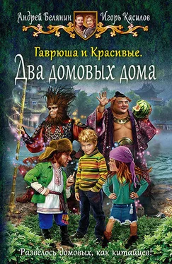 Игорь Касилов Гаврюша и Красивые. Два домовых дома обложка книги