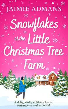 Jaimie Admans Snowflakes at the Little Christmas Tree Farm обложка книги