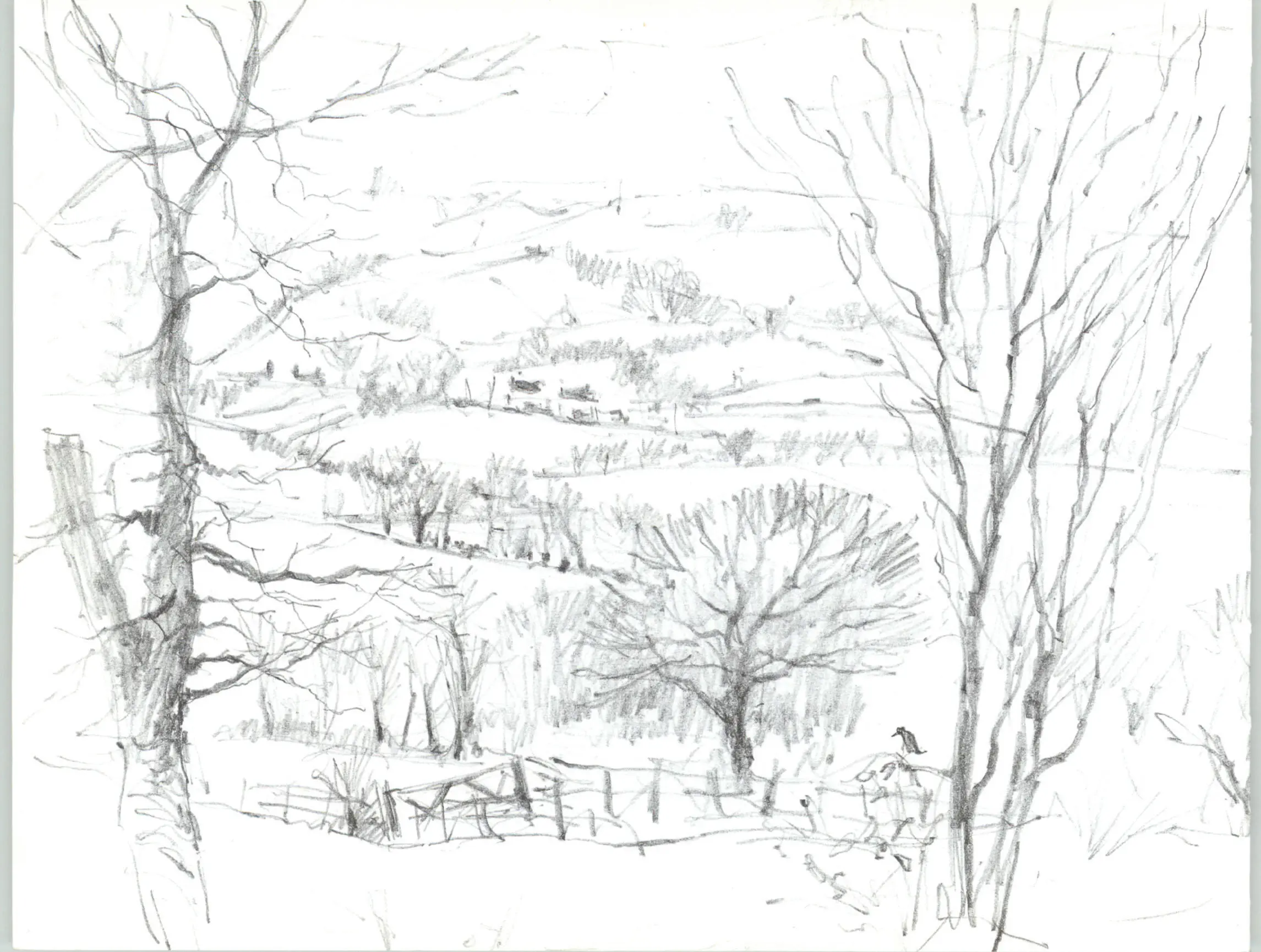 From Donna and Andrews Garden 20 x 28 cm 8 x 11 in For this sketch I used - фото 6