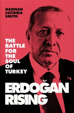 Hannah Smith Erdogan Rising обложка книги