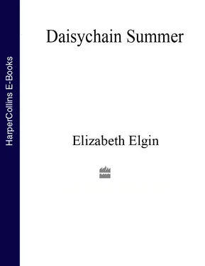 Elizabeth Elgin Daisychain Summer обложка книги