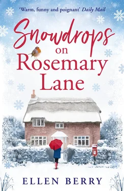 Ellen Berry Christmas on Rosemary Lane обложка книги