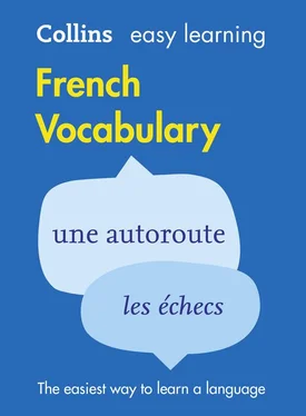 Collins Dictionaries Easy Learning French Vocabulary обложка книги