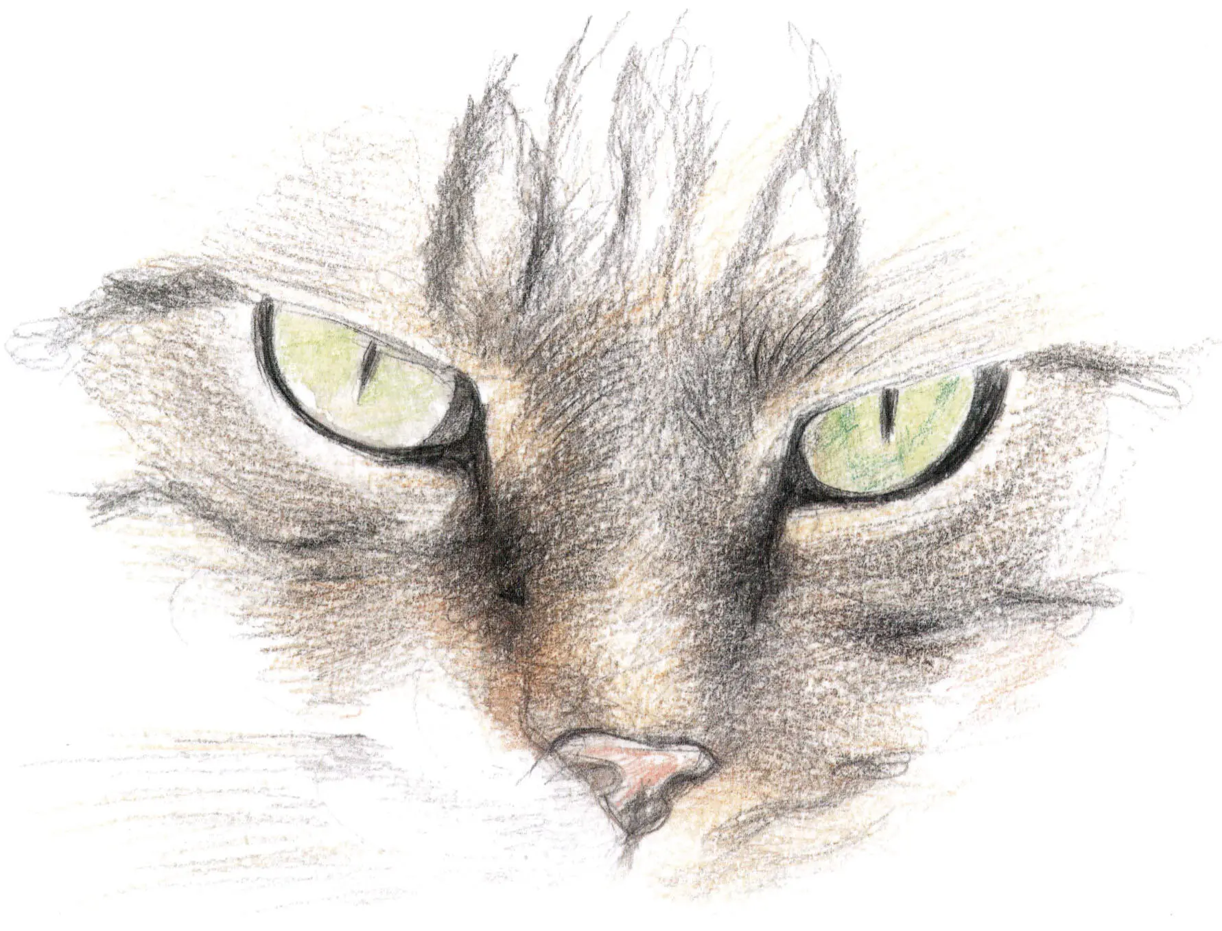 RAMBOS EYES watercolour pencil Cats eyes are unique in their beauty and - фото 8