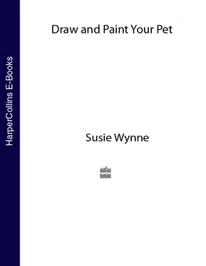 Susie Wynne Draw and Paint your Pet обложка книги