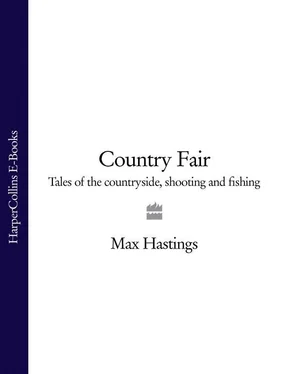 Max Hastings Country Fair обложка книги