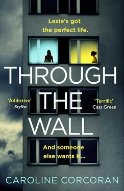 Caroline Corcoran Through the Wall обложка книги