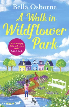 Bella Osborne Wildflower Park Series обложка книги