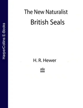H. Hewer Collins New Naturalist Library обложка книги
