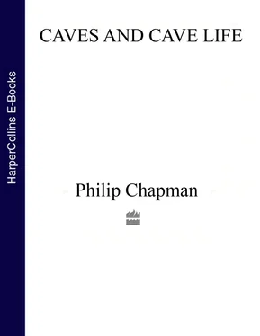 Philip Chapman Collins New Naturalist Library обложка книги