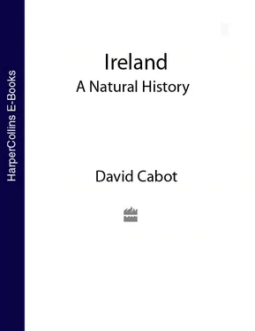 David Cabot Collins New Naturalist Library обложка книги
