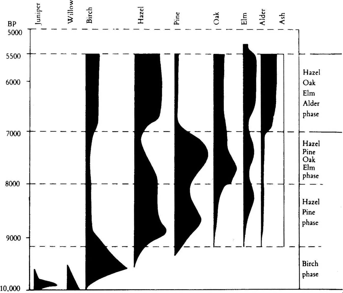 Schematic pollendiagram to illustrate the early development of the - фото 14