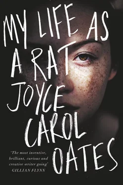 Joyce Oates My Life as a Rat обложка книги