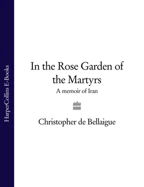 Christopher Bellaigue In the Rose Garden of the Martyrs обложка книги