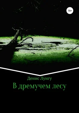 Денис Лунгу В дремучем лесу обложка книги