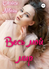 Стэйси Левайн - Весь мой мир