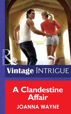 Joanna Wayne A Clandestine Affair обложка книги