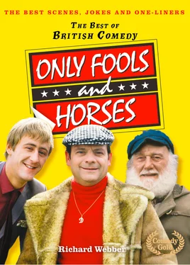 Richard Webber Only Fools and Horses обложка книги