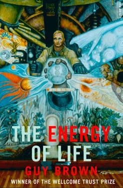 Guy Brown The Energy of Life: обложка книги