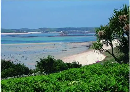 FIG 45The south coast of St Martins looking towards Tresco at low tide with - фото 22