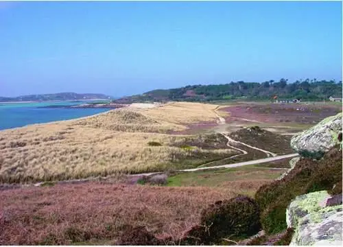 FIG 41Tresco looking north from Olivers Battery across coastal dunes the - фото 20