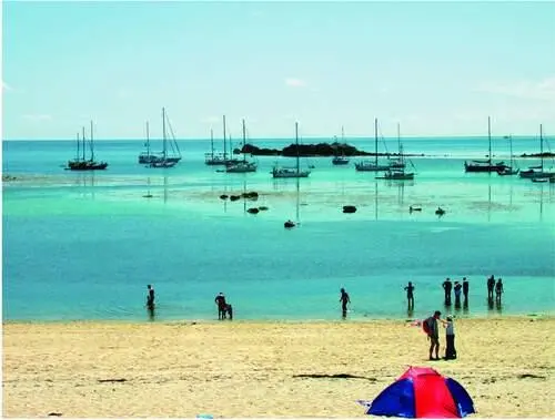 FIG 35Porth Cressa July 2006 Rosemary Parslow that flourish in the - фото 18