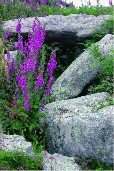 FIG 54Named after islander Obadiah Hicks is Obadiahs Barrow an entrance - фото 29