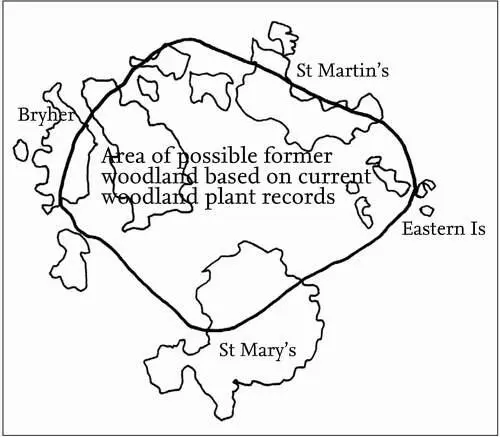 FIG 12The present distribution of AWI ancient woodland indicator plants may - фото 7