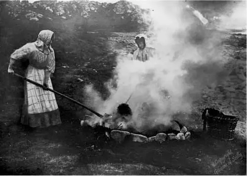 FIG 16Burning kelp in pits by the shore to produce soda ash was a stinking and - фото 9