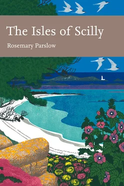 Rosemary Parslow The Isles of Scilly обложка книги
