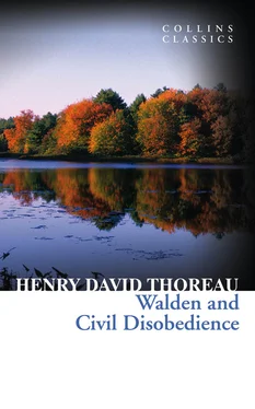 Henry Thoreau Walden and Civil Disobedience обложка книги