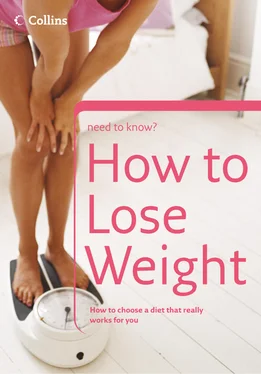 Christine Michael How to Lose Weight обложка книги