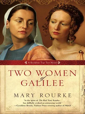 Mary Rourke Two Women Of Galilee обложка книги