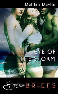 Delilah Devlin Eye Of The Storm обложка книги