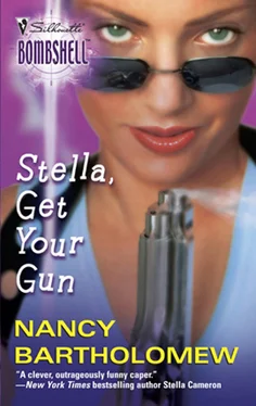Nancy Bartholomew Stella, Get Your Gun обложка книги