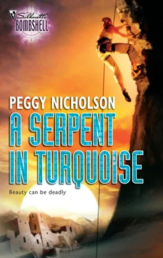 Peggy Nicholson A Serpent In Turquoise обложка книги