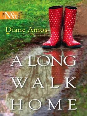 Diane Amos A Long Walk Home обложка книги