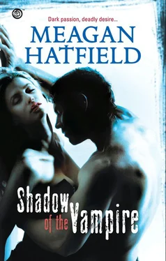 Meagan Hatfield Shadow Of The Vampire обложка книги