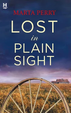 Marta Perry Lost in Plain Sight обложка книги
