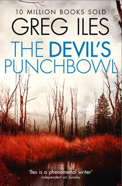 Greg Iles The Devil’s Punchbowl обложка книги