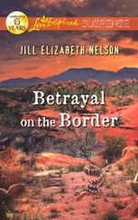 Jill Nelson - Betrayal on the Border