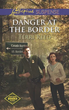 Terri Reed Danger at the Border обложка книги