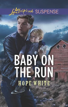 Hope White Baby On The Run обложка книги