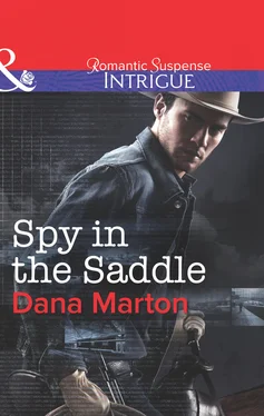 Dana Marton Spy in the Saddle обложка книги